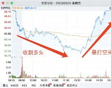 专家称MATIC将在年底冲破12.58美元，引发引发关注